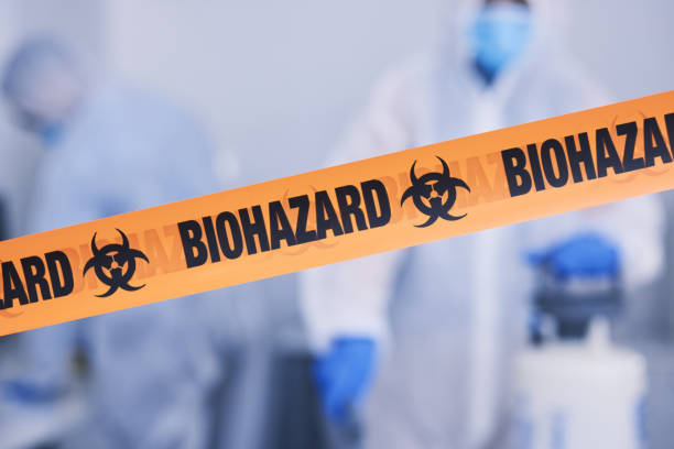 Professional Odor Removal technician working in Pine, AZ